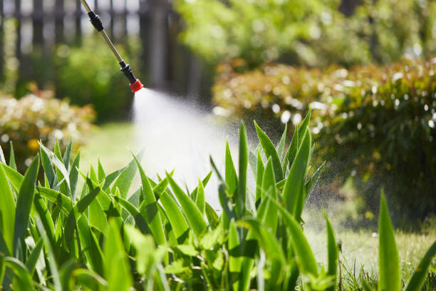 24/7 Emergency Wasp Removal experts in Heartland, TX